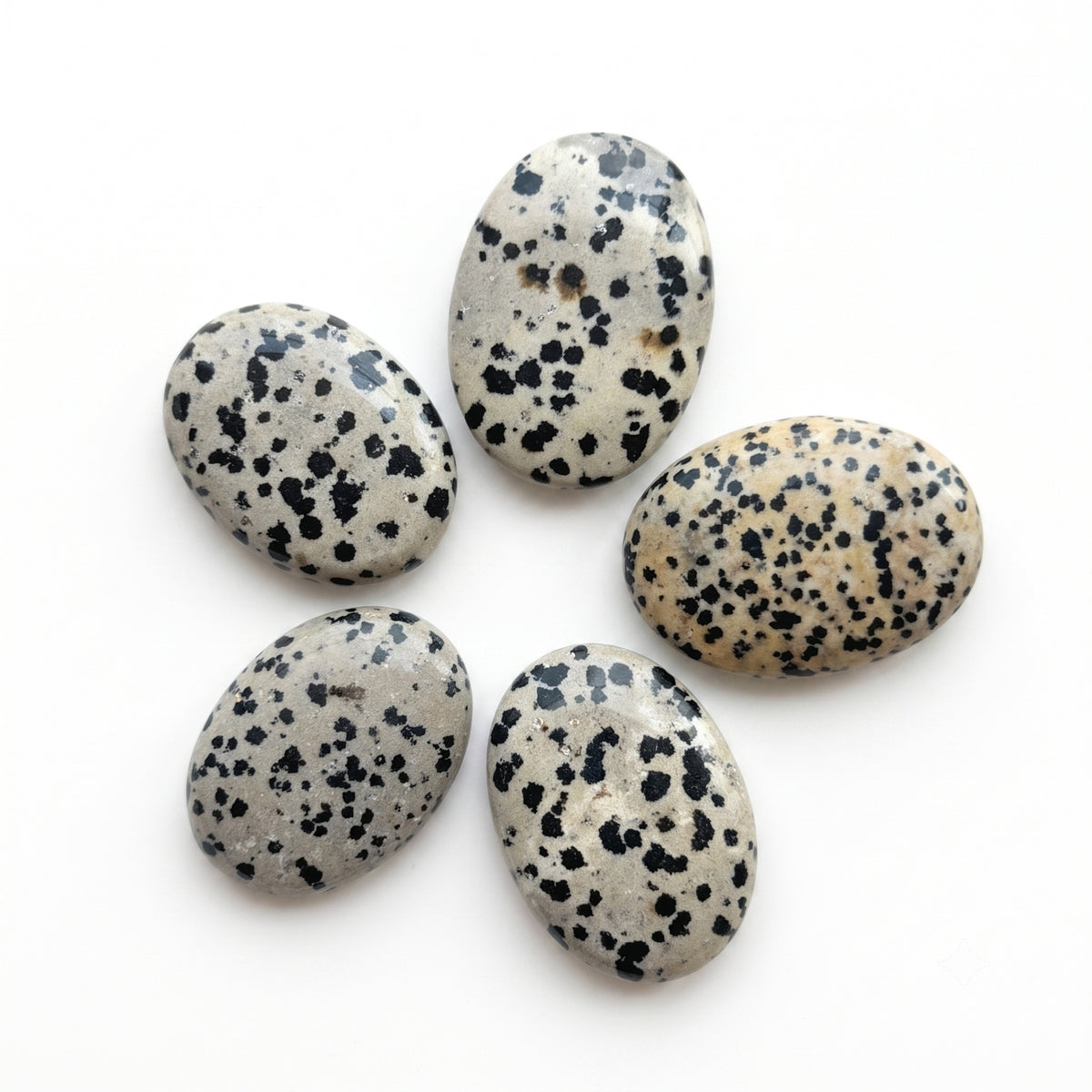 Palmstone - Dalmatian (Jasper)