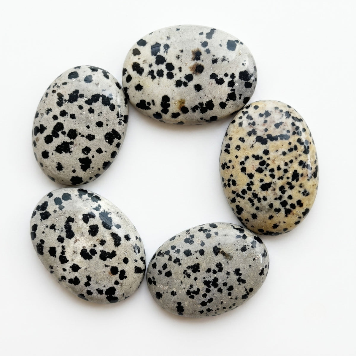Palmstone - Dalmatian (Jasper)