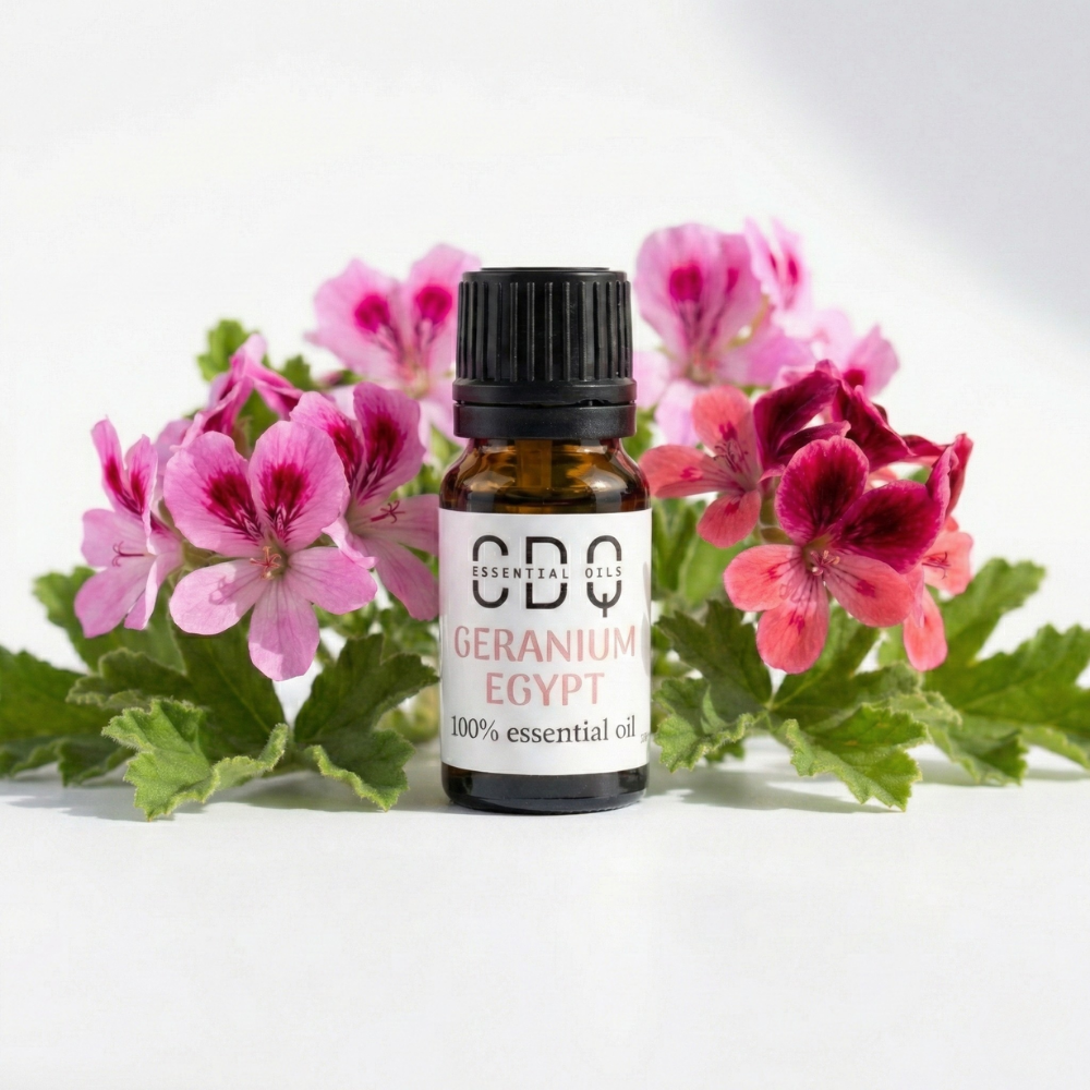 Geranium Egypt Essentail Oil