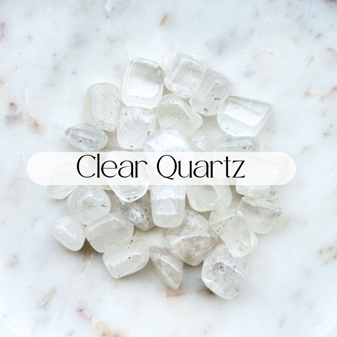 Crystal Kit - Curious & Evolve