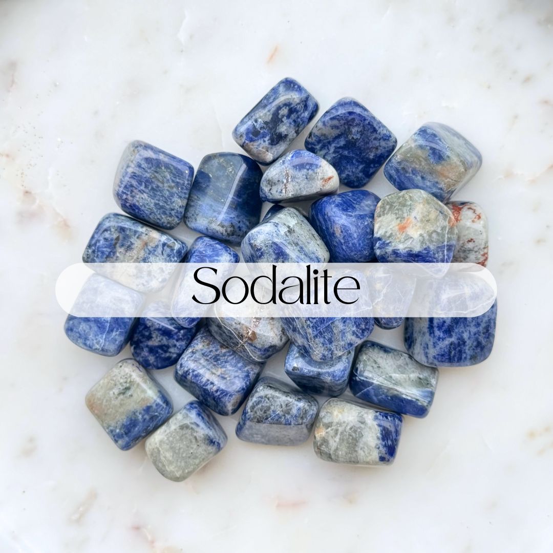 Crystal Kit - Curious & Evolve