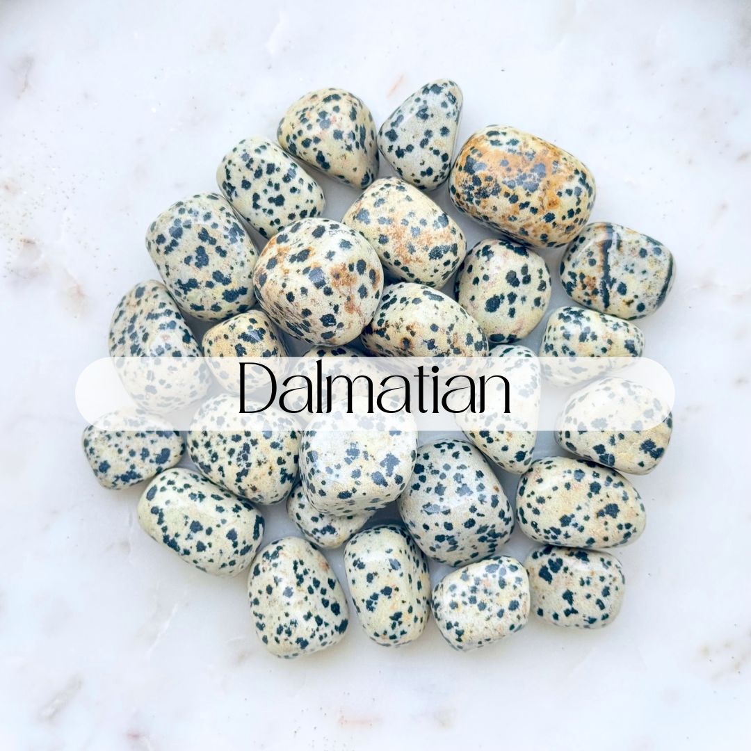 Crystal Kit - Children's Choice