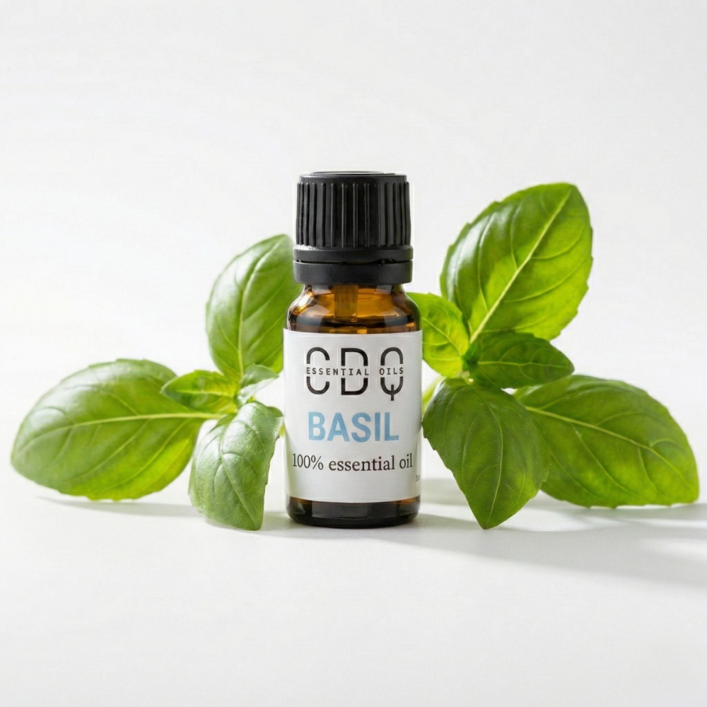 Basil Essentail Oil