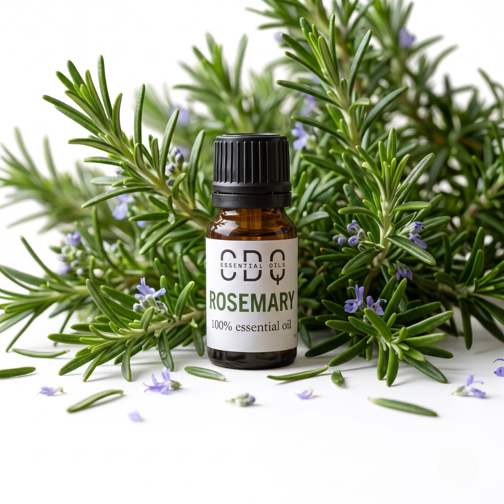 Rosemary Essential Oil