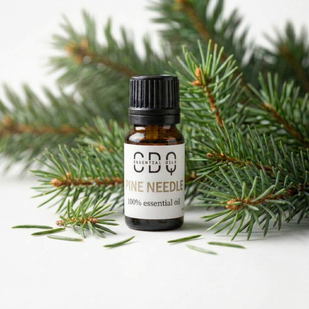 Pine needle Essentail Oil