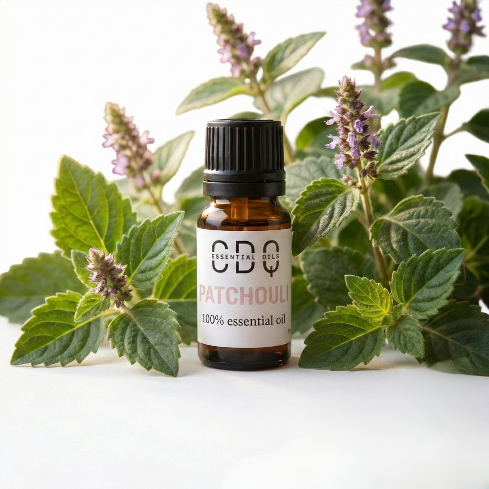 Patchouli Essentail Oil