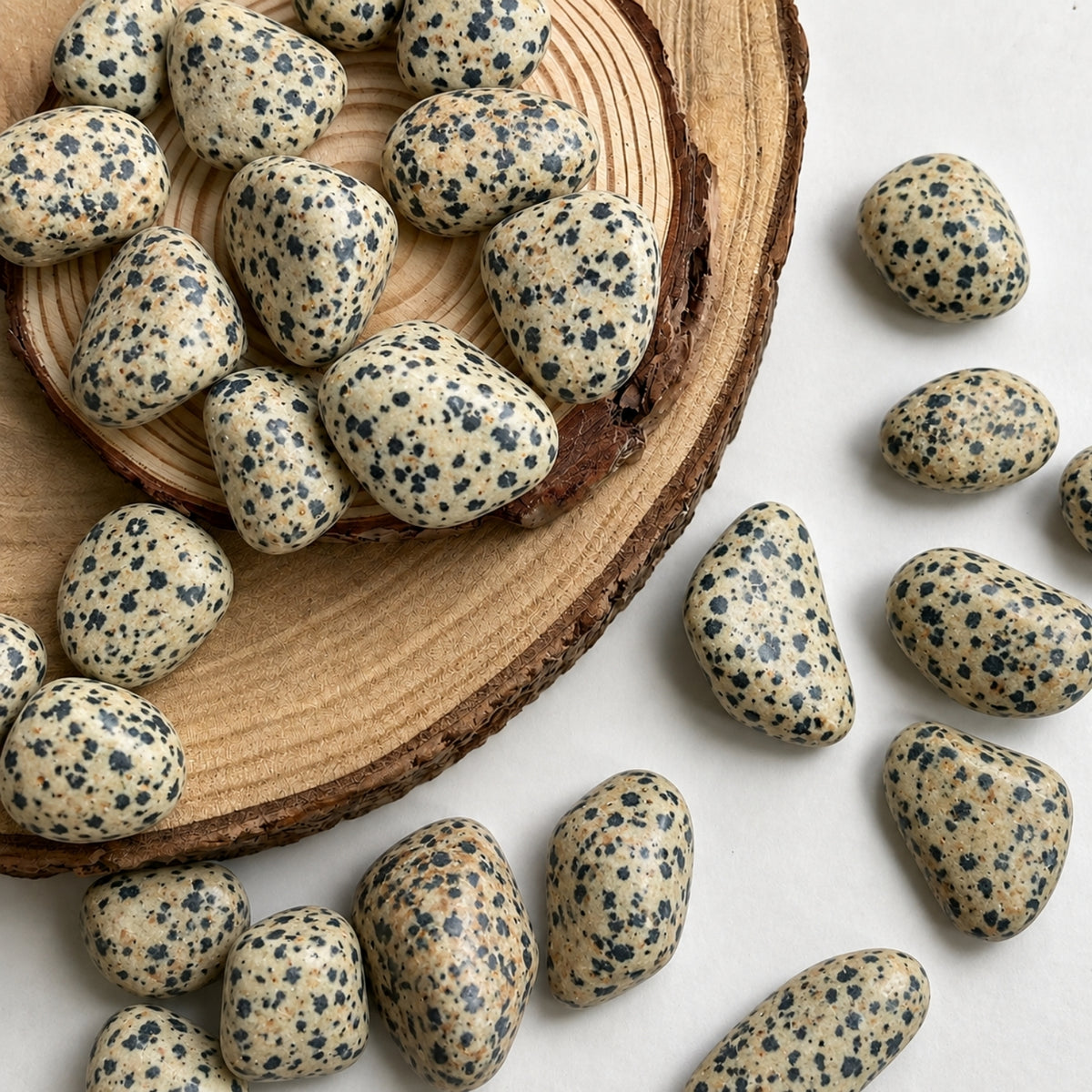 Tumbled Crystal - Dalmatian