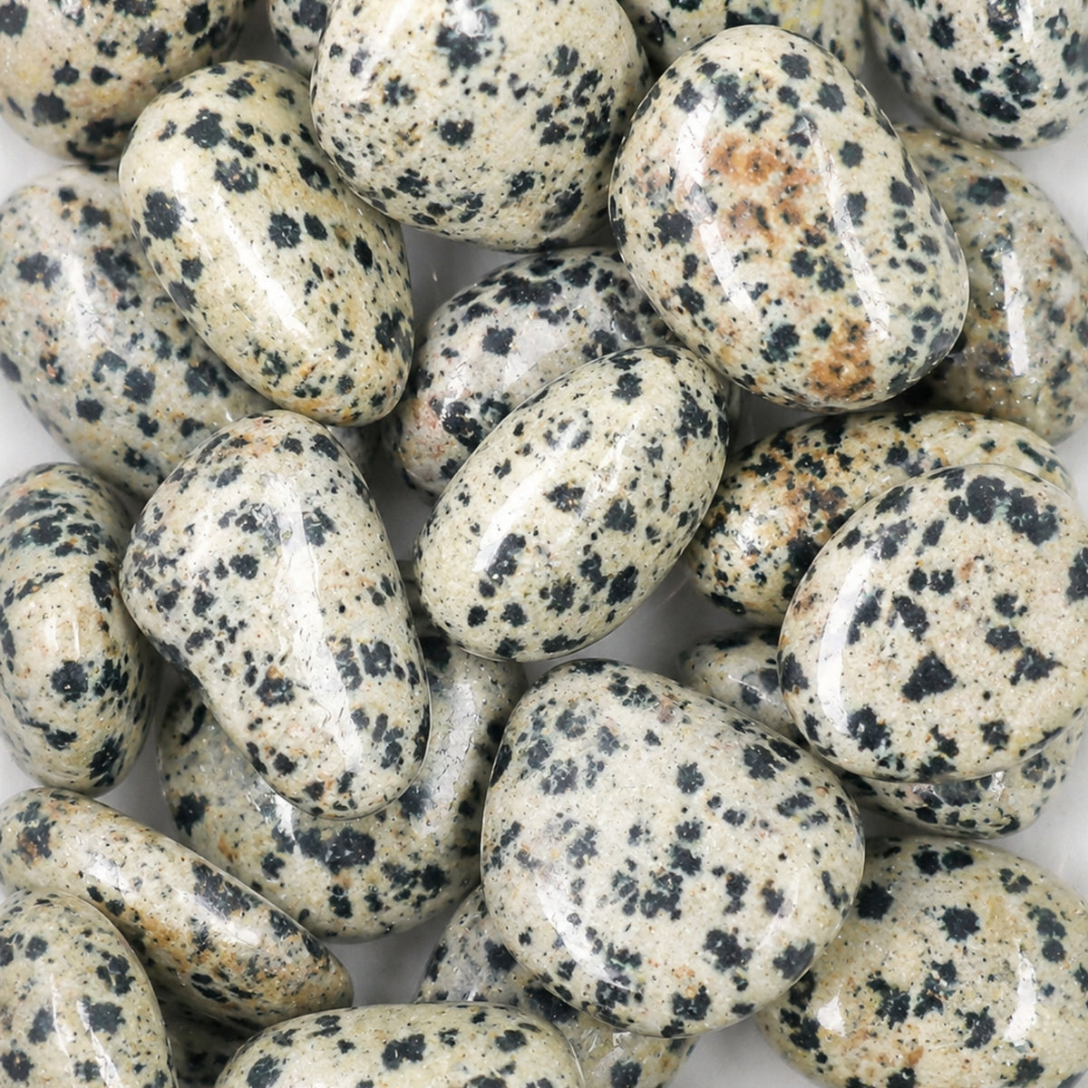 Tumbled Crystal - Dalmatian