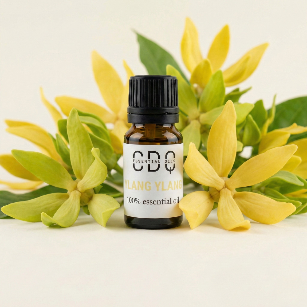 Ylang Ylang Essentail Oil