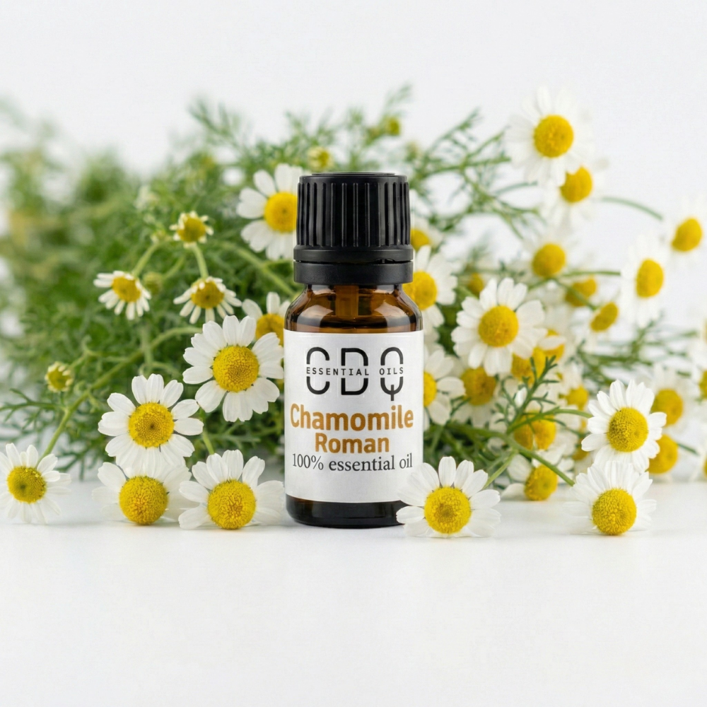 Chamomile Roman Essentail Oil