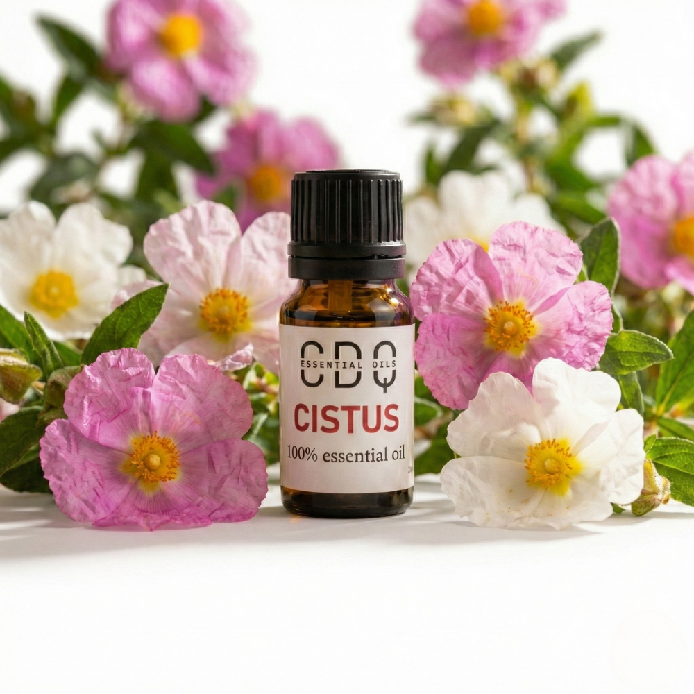 Cistus Essentail Oil
