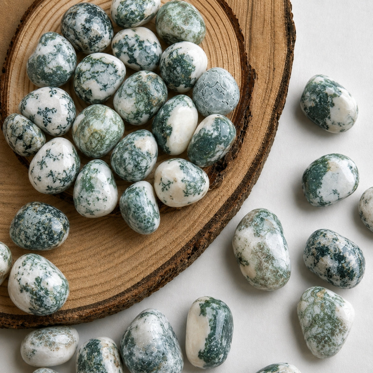 Tumbled Crystal - Tree Agate