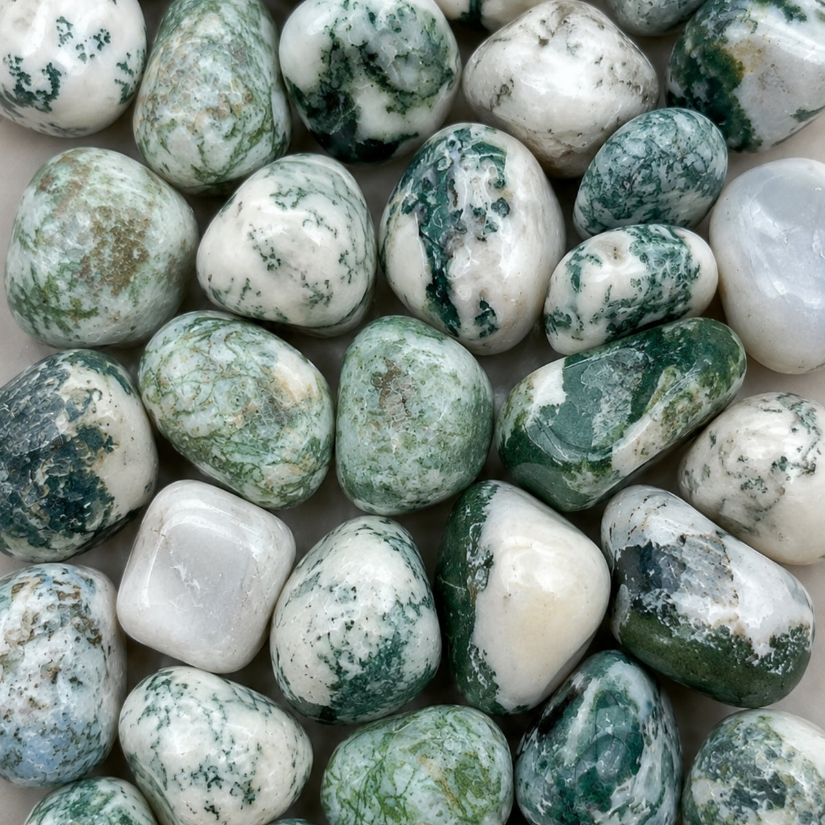 Tumbled Crystal - Tree Agate