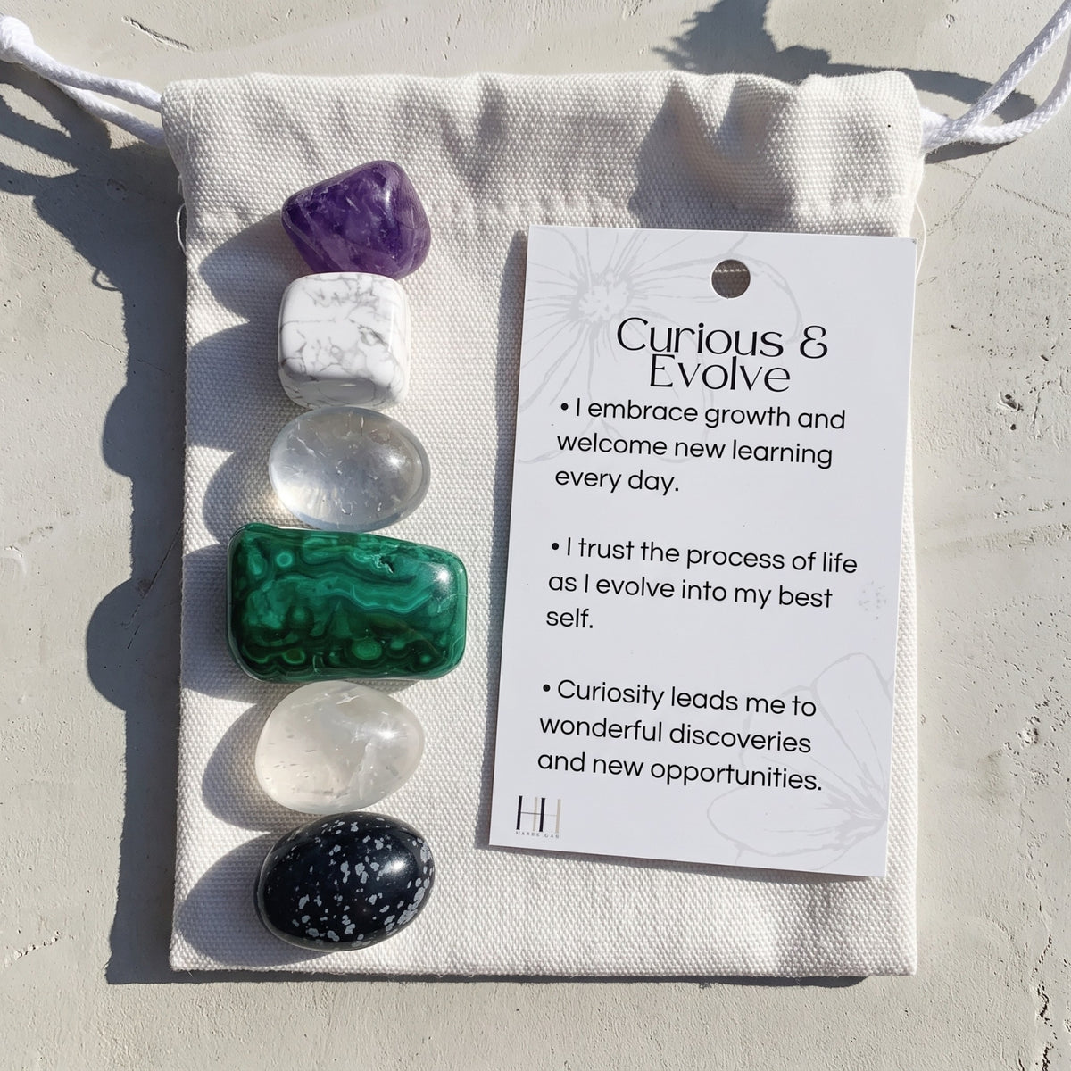 Crystal Kit - Curious & Evolve Premium