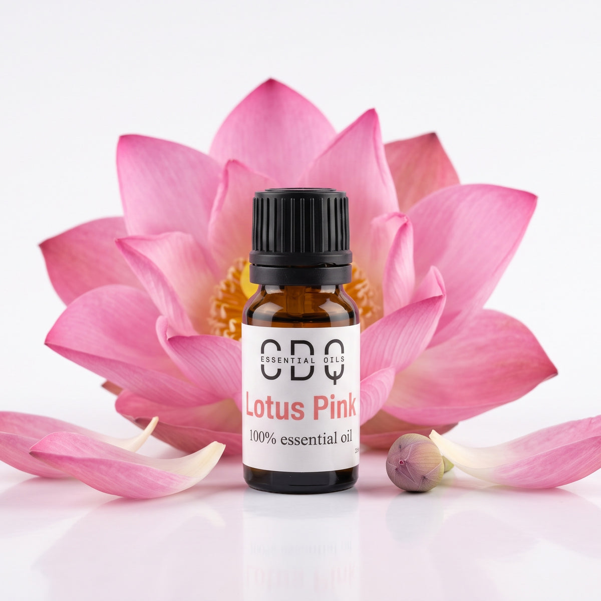 Lotus Pink Essential Oil
