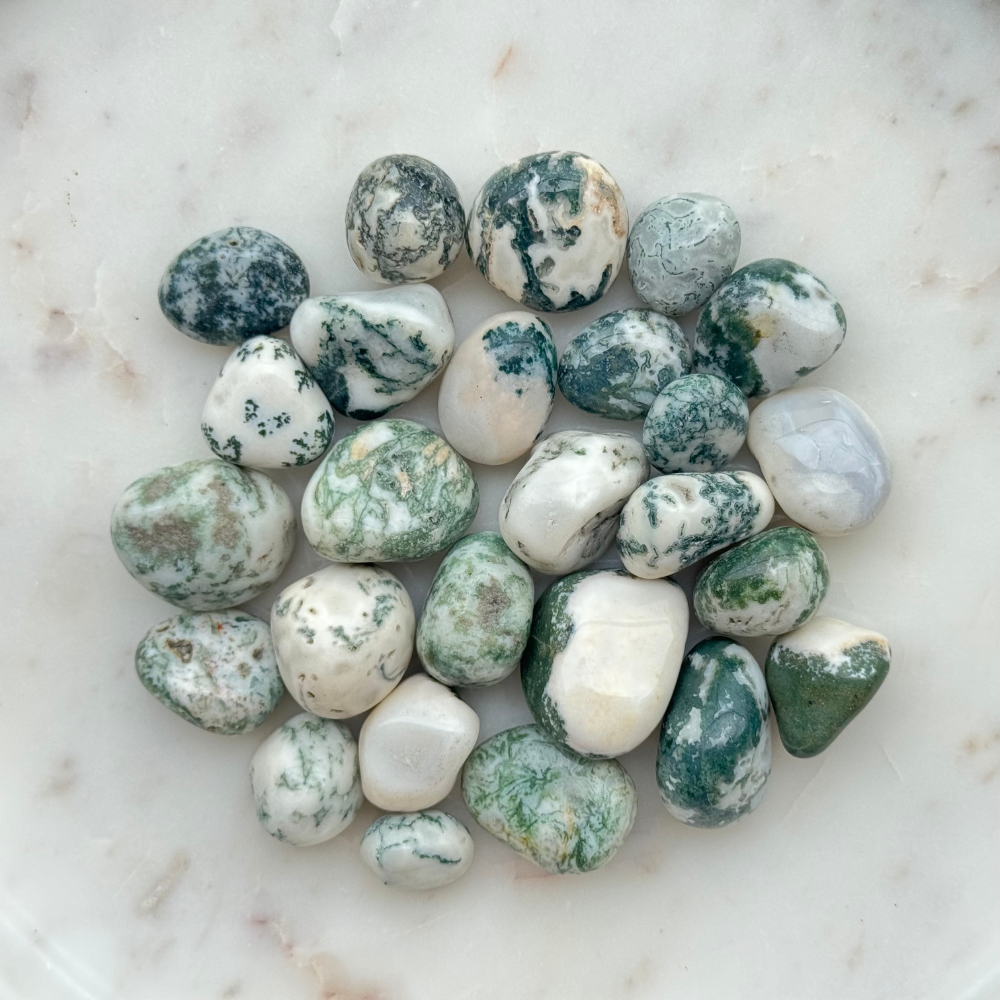 Tumbled Crystal - Tree Agate