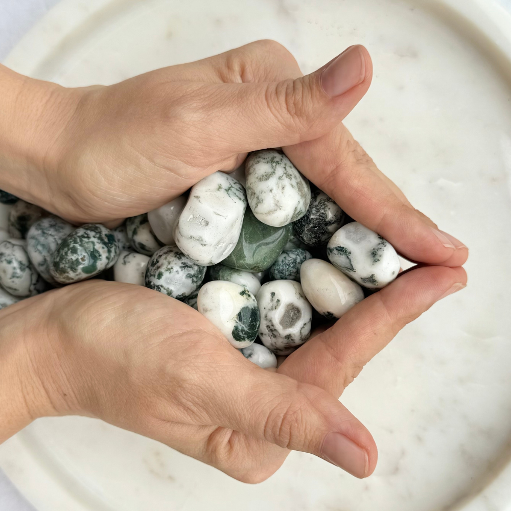 Tumbled Crystal - Tree Agate