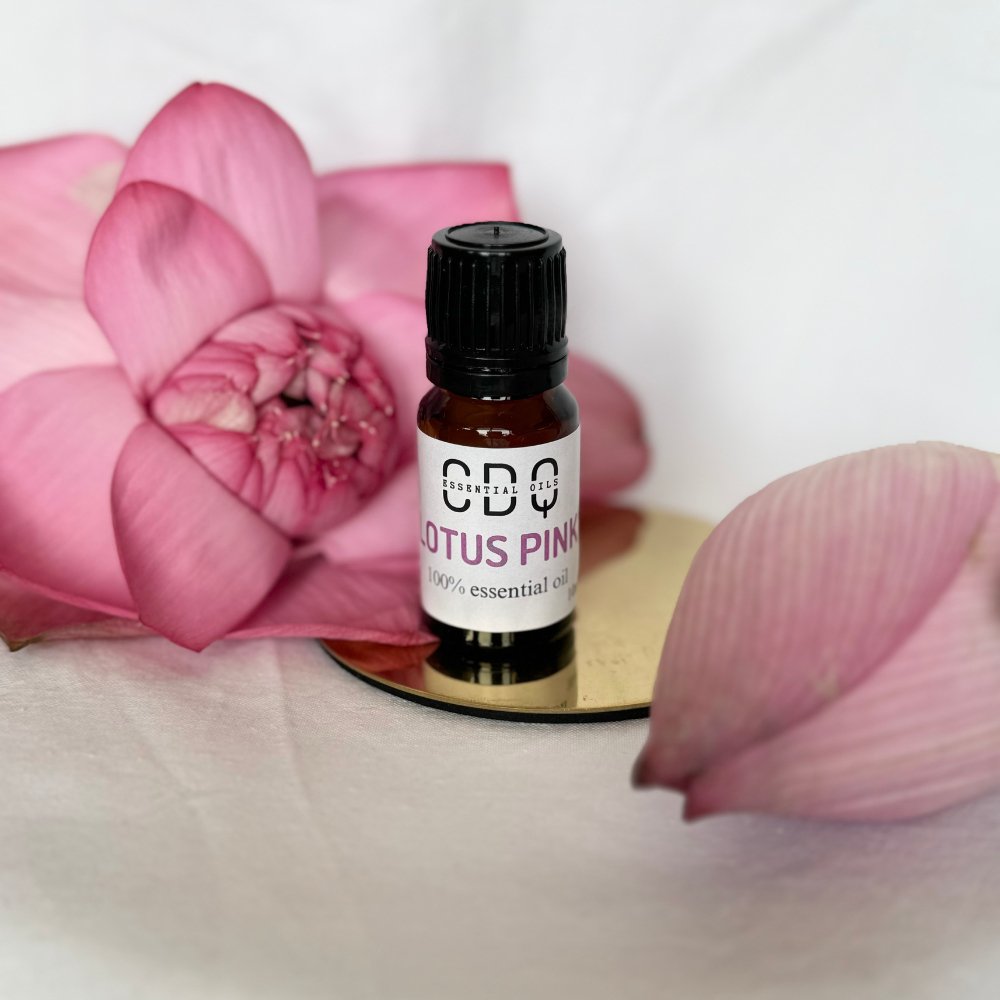Buy Lotus Pink Essential Oil Online – Natural Remedy for Meditation ...