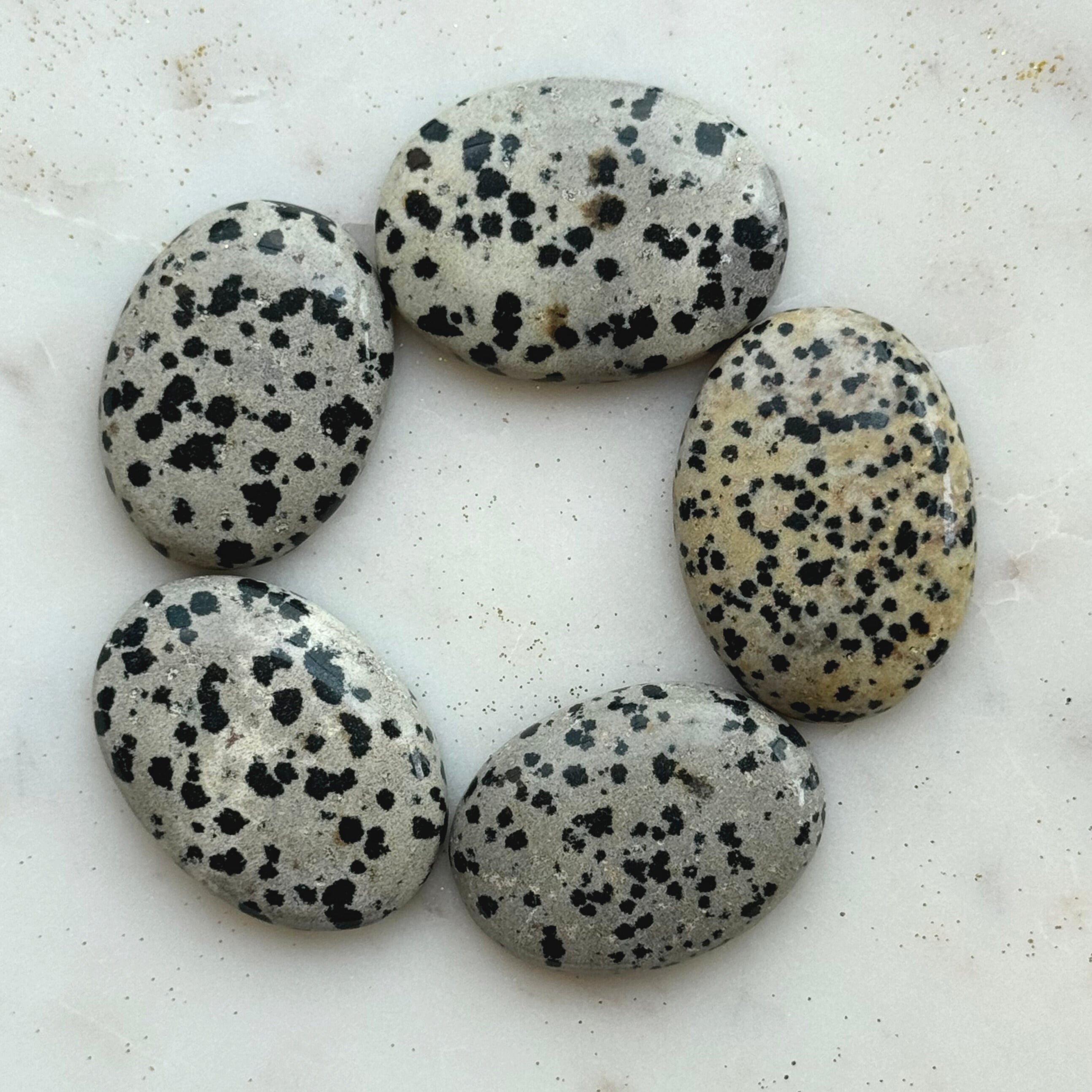 Palmstone - Dalmatian (Jasper) - HappyRuH