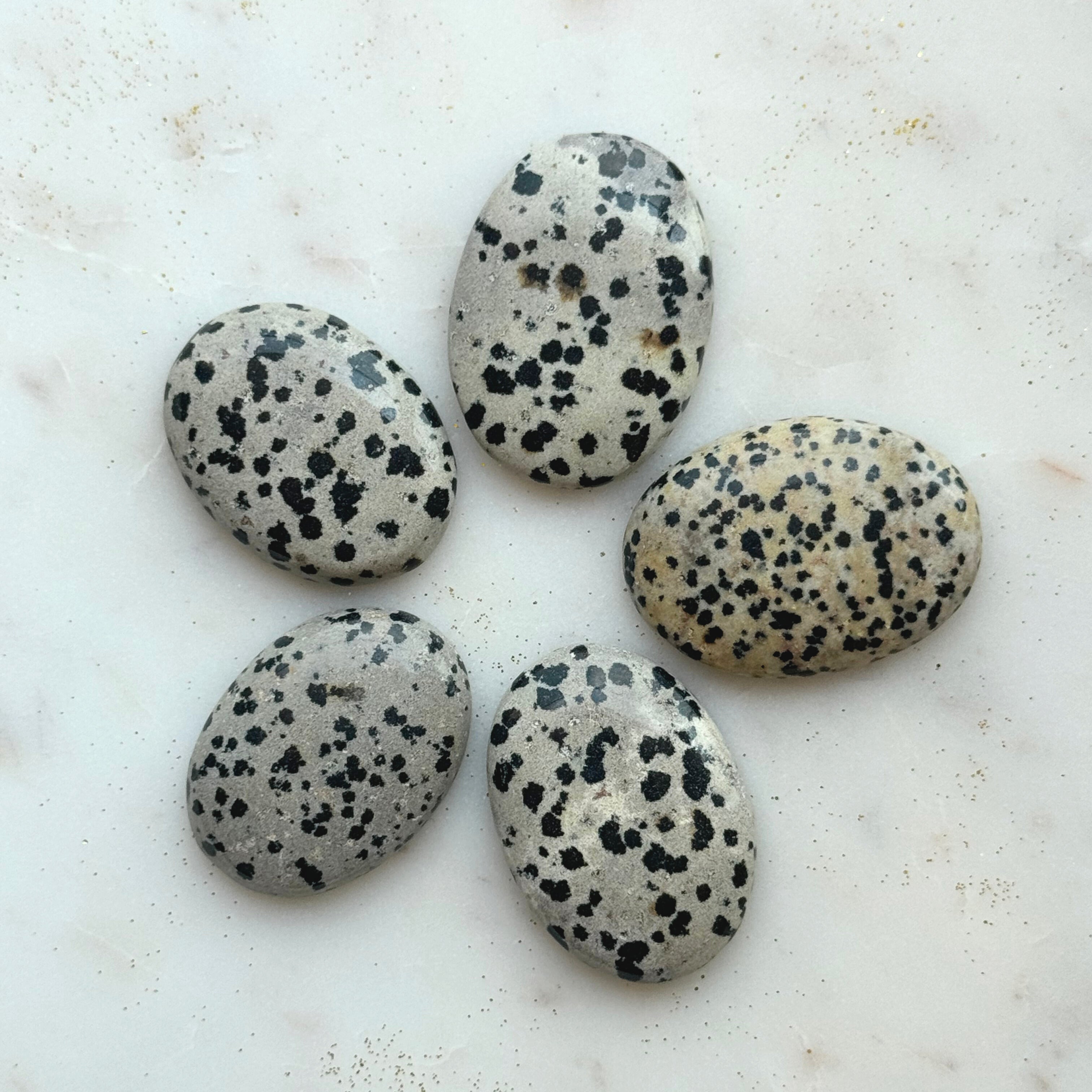 Palmstone - Dalmatian (Jasper) - HappyRuH